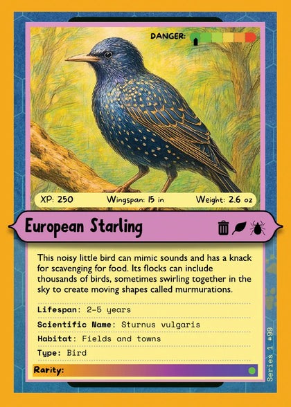 European Starling