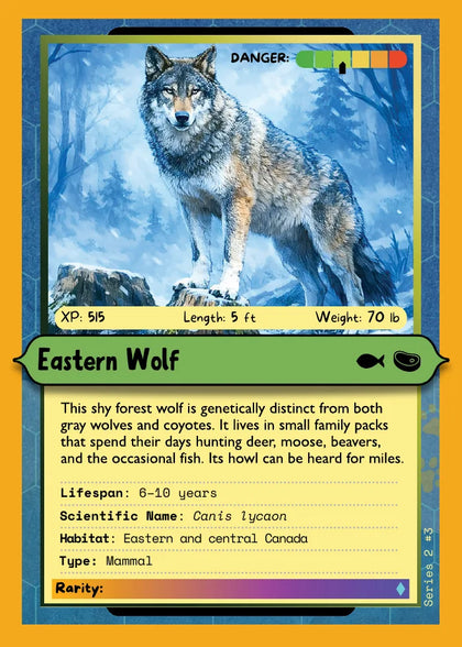 Eastern Wolf