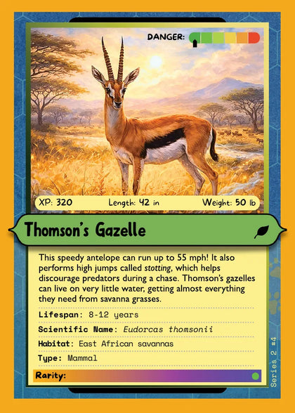 Thomson’s Gazelle