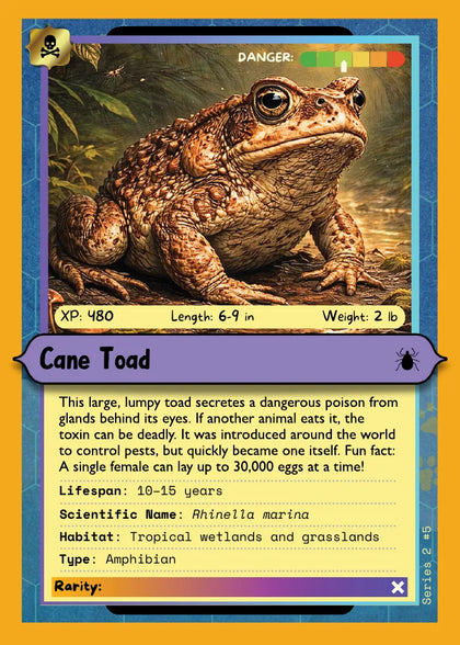 Cane Toad