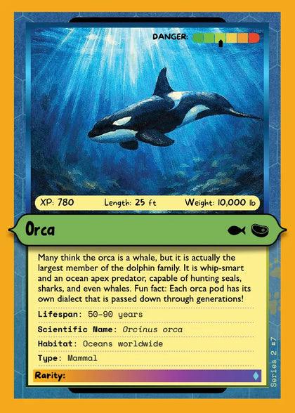 Orca