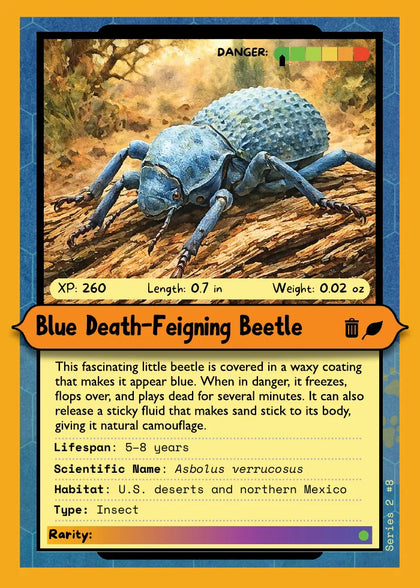 Blue Death-Feigning Beetle