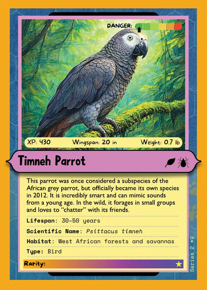 Timneh Parrot