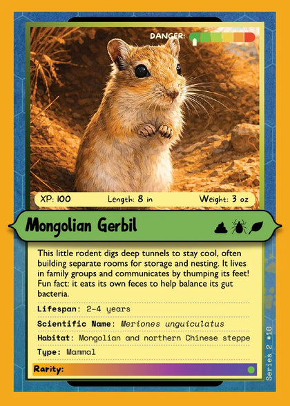Mongolian Gerbil