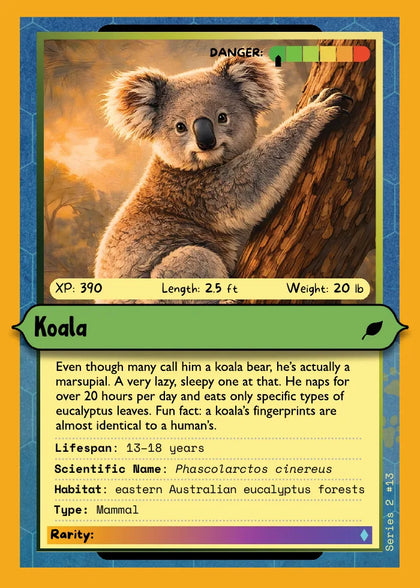 Koala
