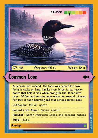Common Loon