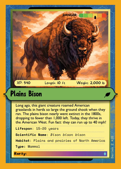 Plains Bison