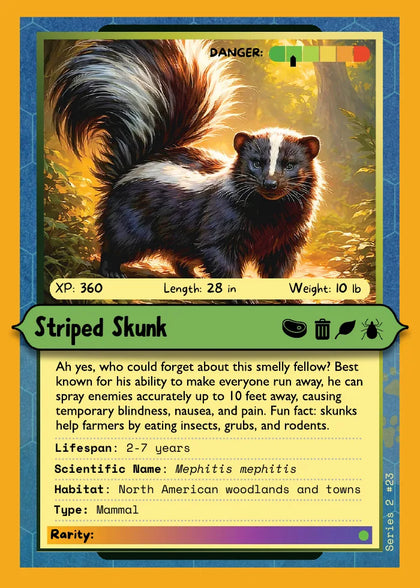 Striped Skunk