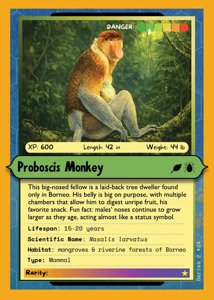 Proboscis Monkey
