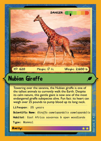 Nubian Giraffe