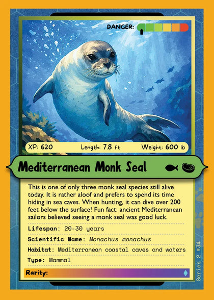Mediterranean Monk Seal