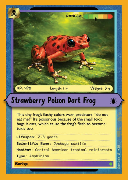 Strawberry Poison Dart Frog