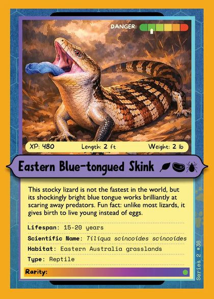 Eastern Blue-tongued Skink
