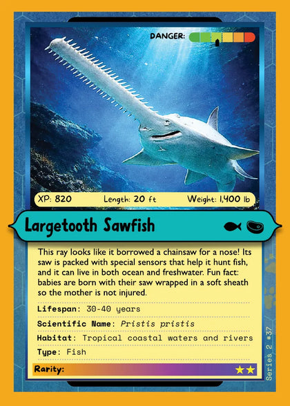 Largetooth Sawfish