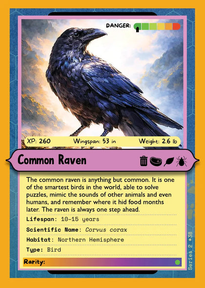 Common Raven