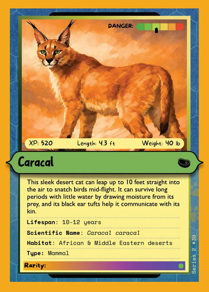 Caracal