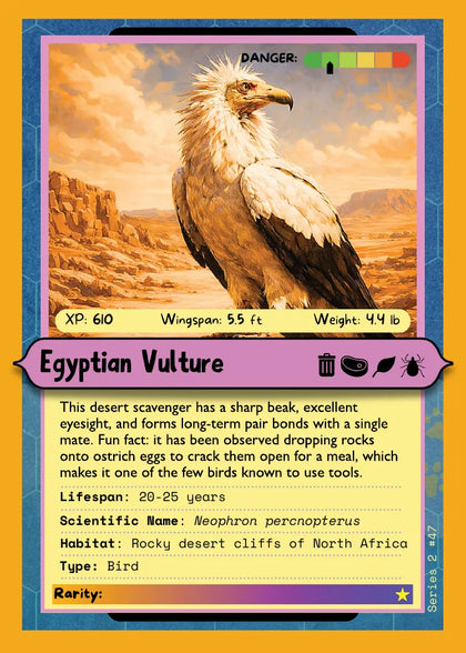 Egyptian Vulture