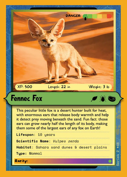Fennec Fox