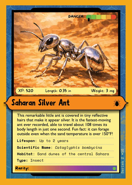 Saharan Silver Ant