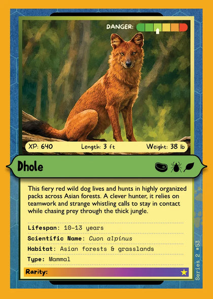 Dhole