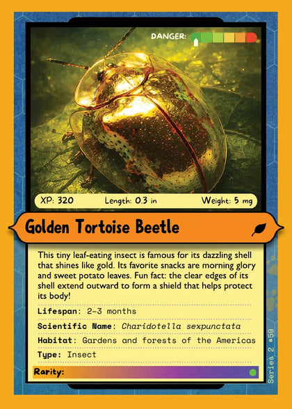 Golden Tortoise Beetle