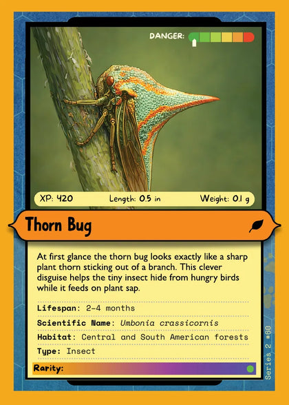 Thorn Bug