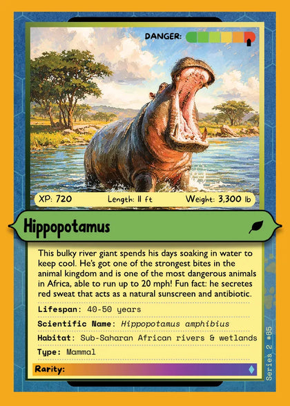Hippopotamus