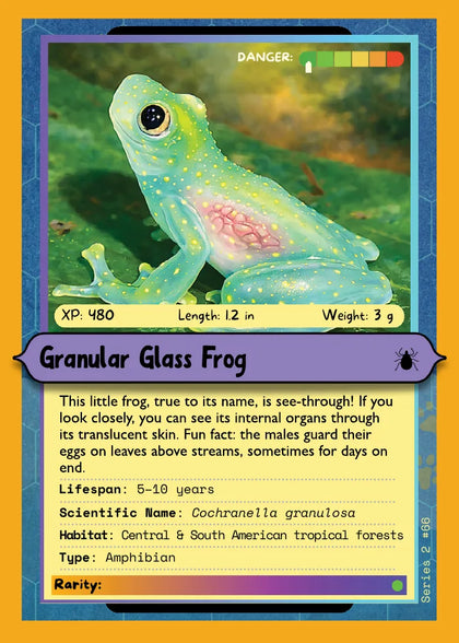 Granular Glass Frog