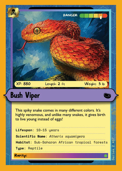 Bush Viper