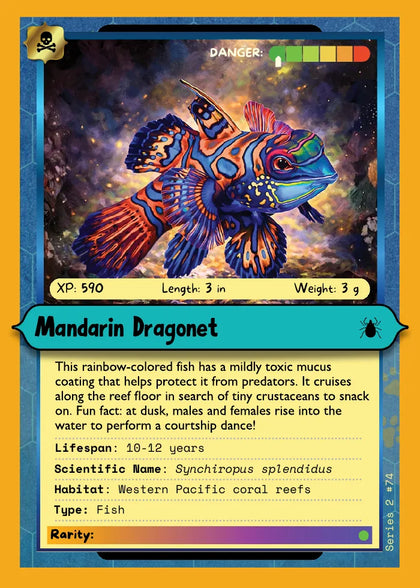 Mandarin Dragonet