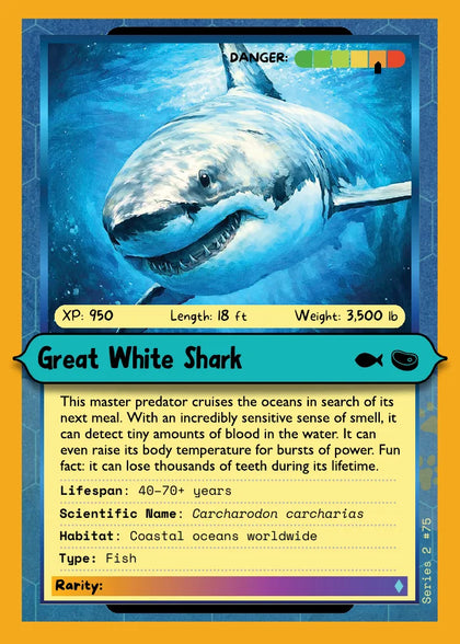 Great White Shark