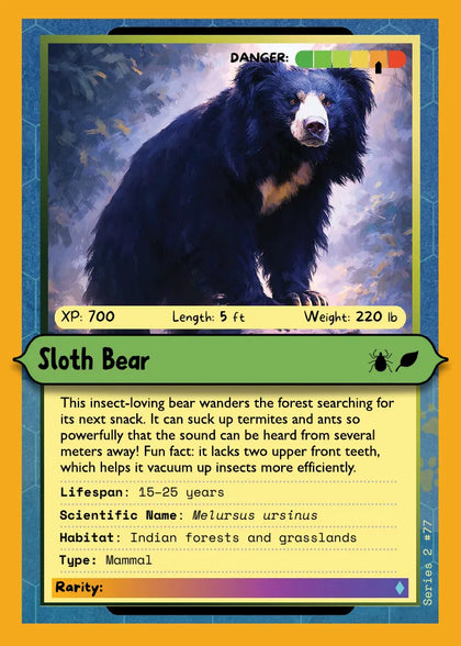 Sloth Bear