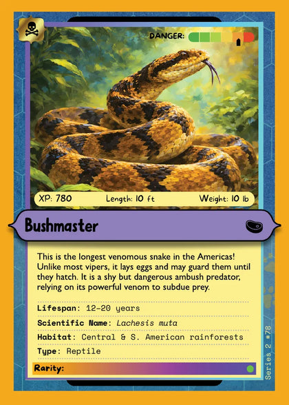 Bushmaster