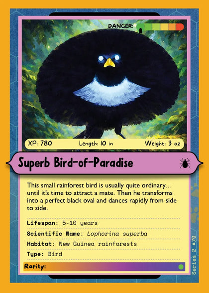Superb Bird-of-Paradise