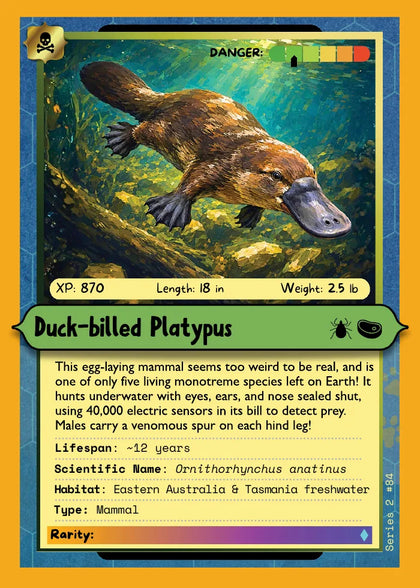 Duck-billed Platypus