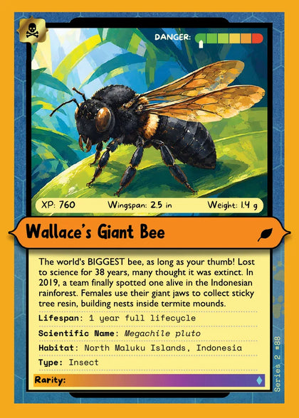 Wallace's Giant Bee