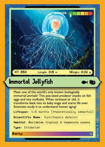 Immortal Jellyfish