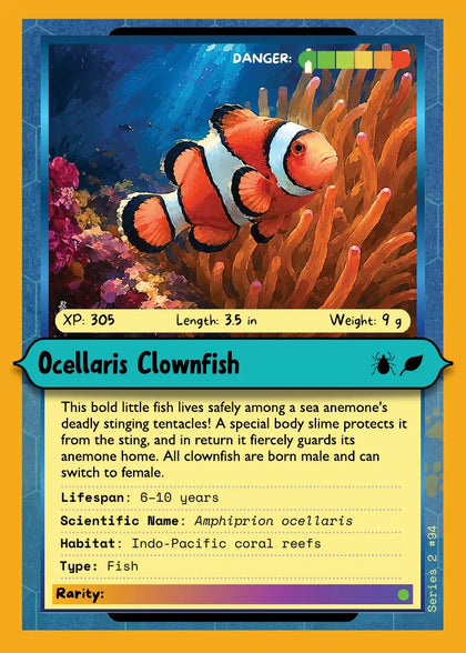 Ocellaris Clownfish
