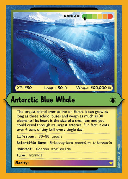 Antarctic Blue Whale