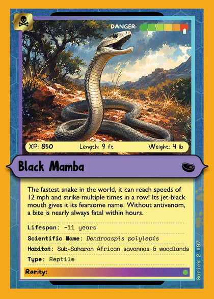 Black Mamba