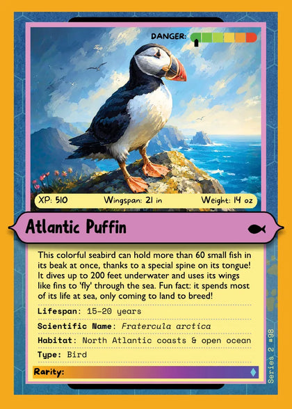 Atlantic Puffin