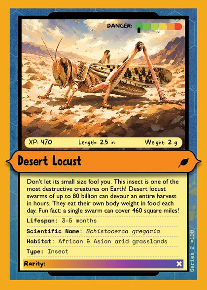 Desert Locust